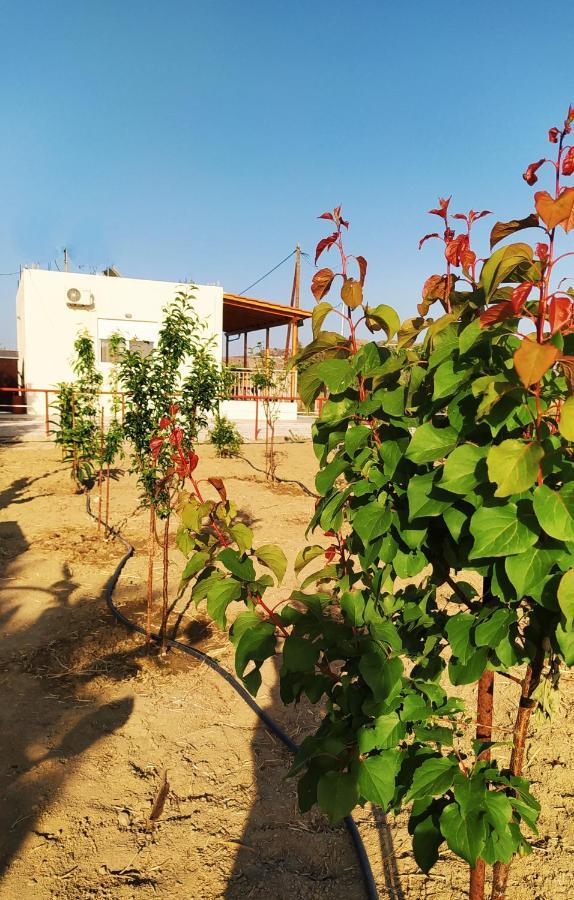 Ilios - Country House Kalamaki  Exterior foto